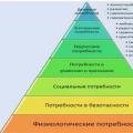 Abraham Maslow - piramida potreba